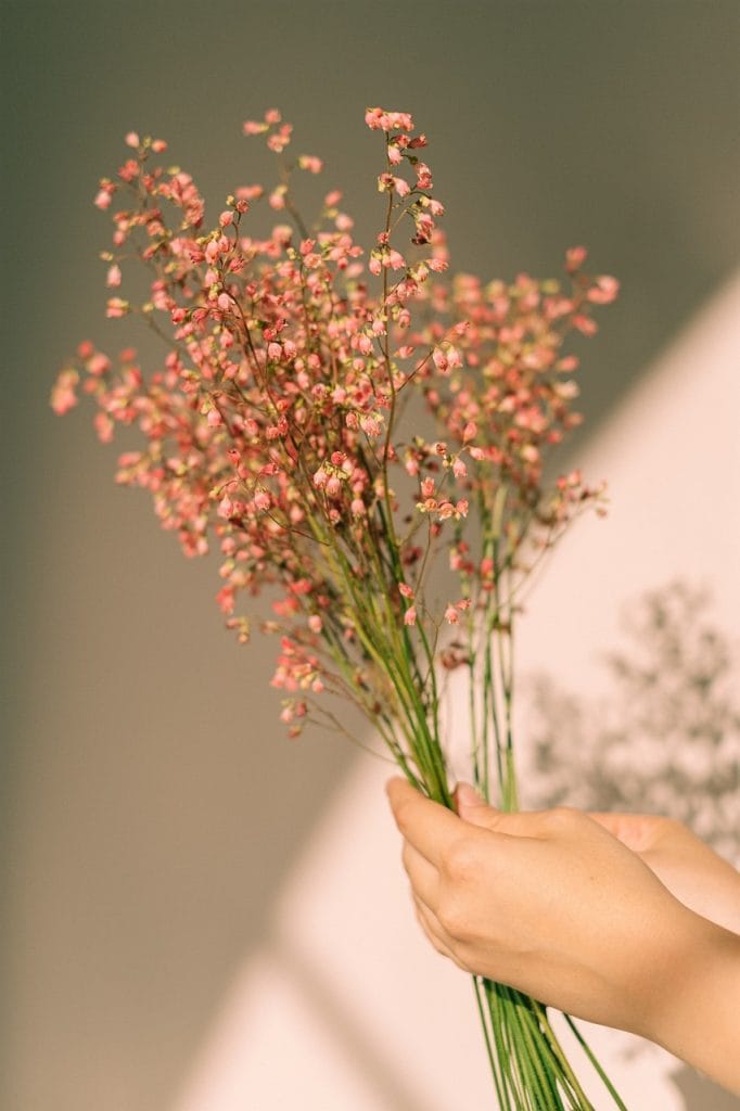 toko bunga conggeang sumedang