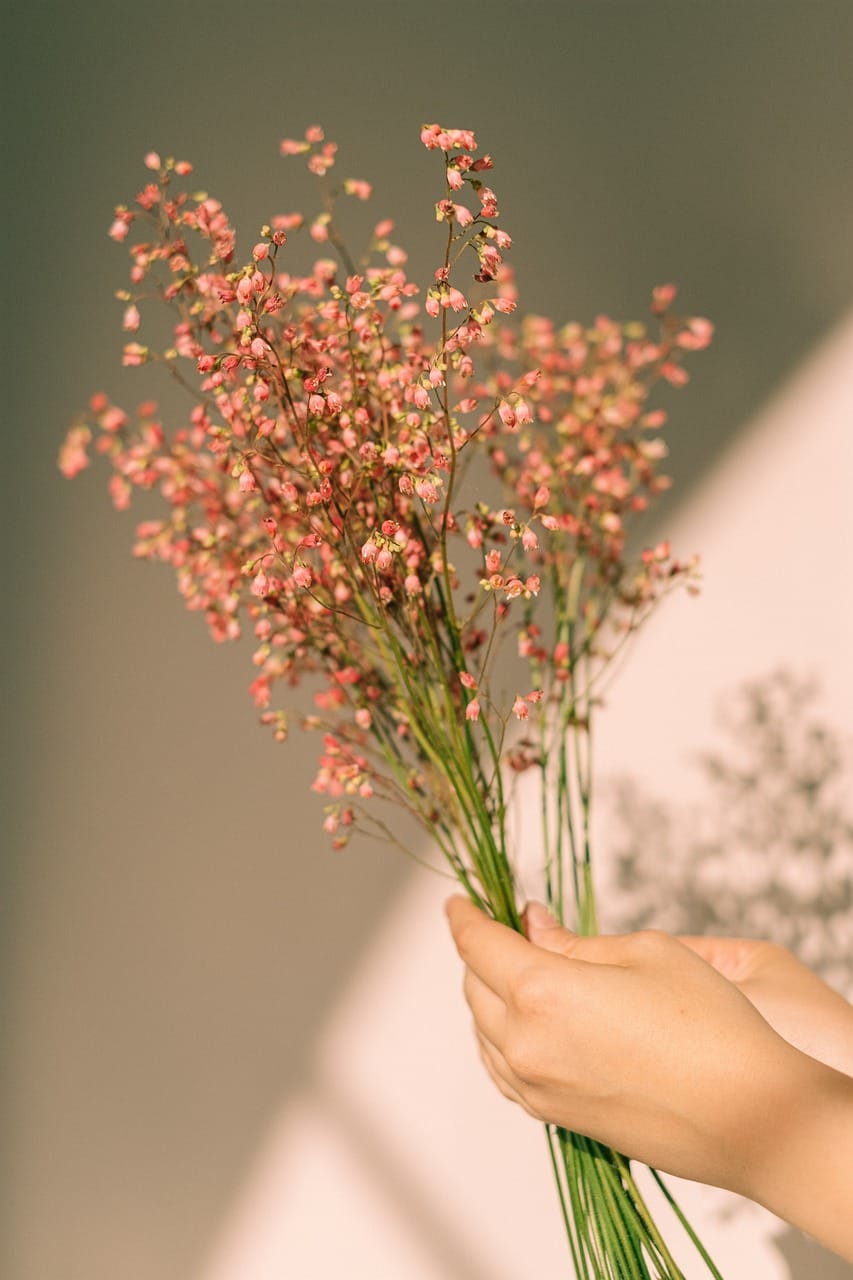 toko bunga conggeang sumedang