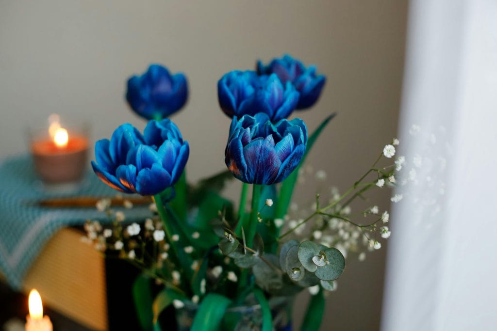 A bouquet of vibrant blue tulips beside a softly glowing candle, perfect for serene and calming decor.